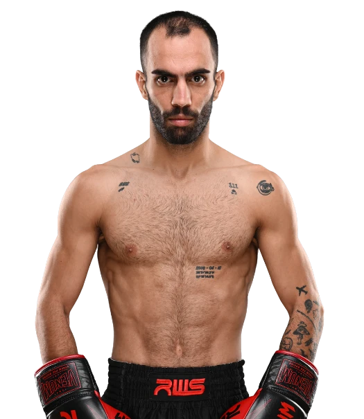 Amir Ershadi