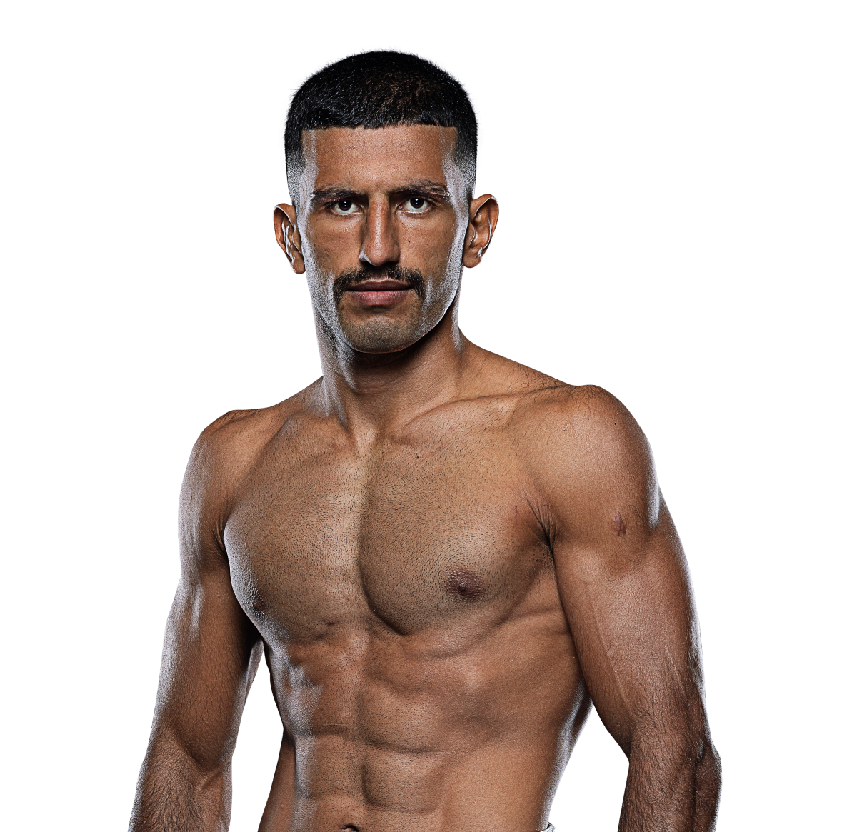 Arman Moradi