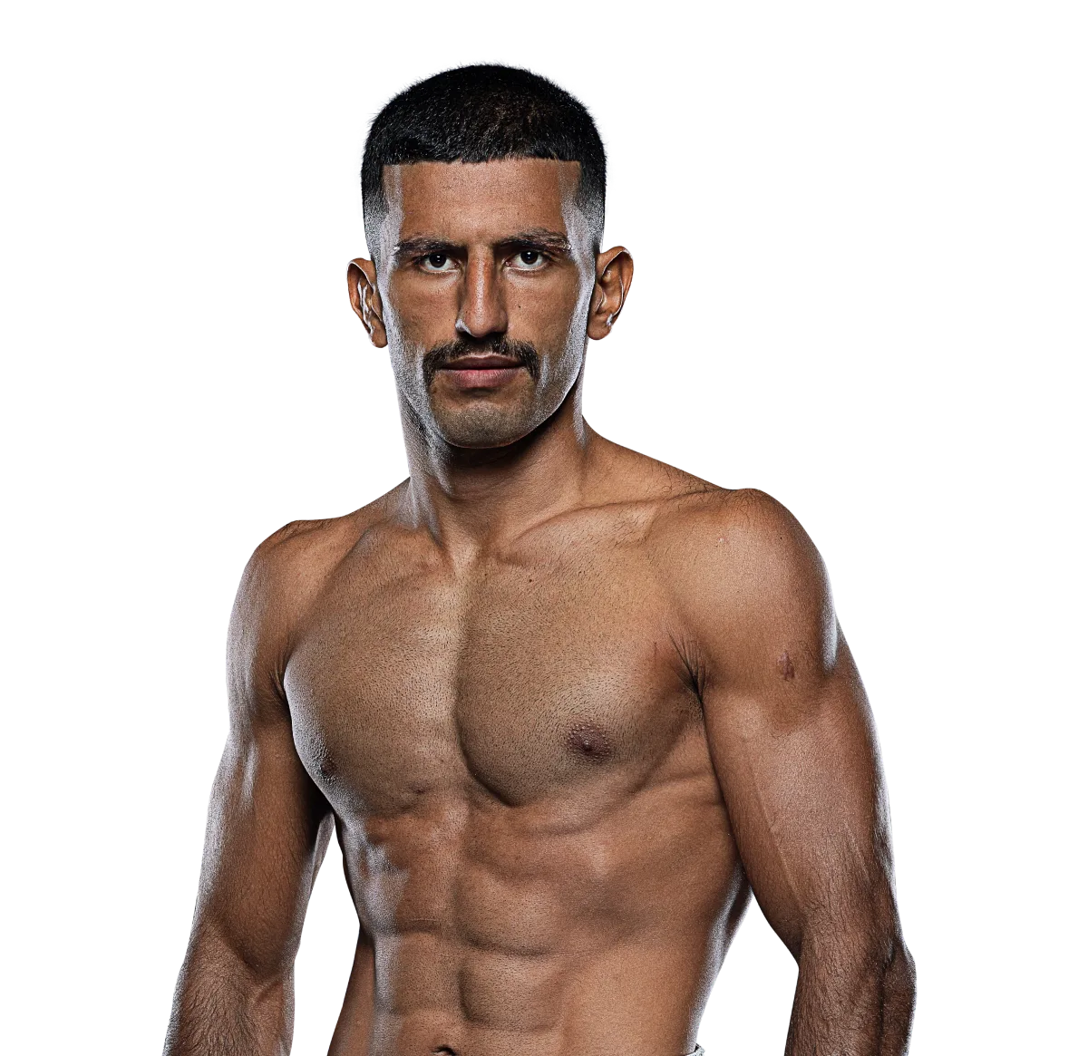 Arman Moradi