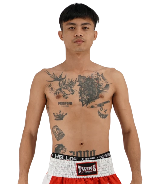 Chamanao Santiubon
