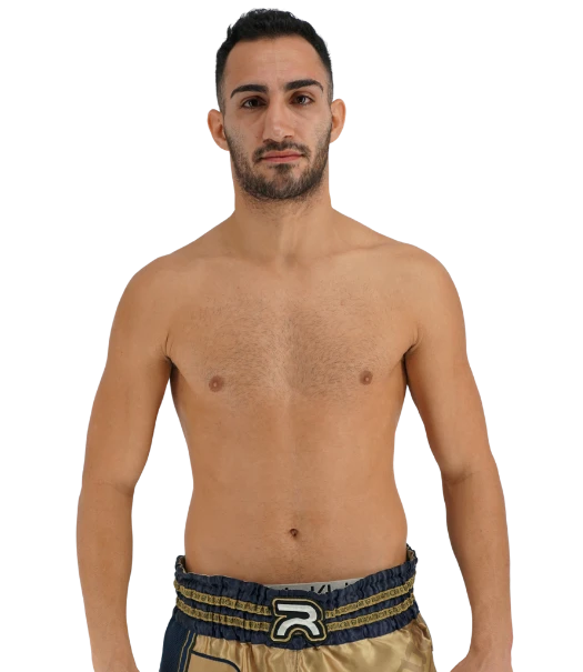 Mehrdad Amini