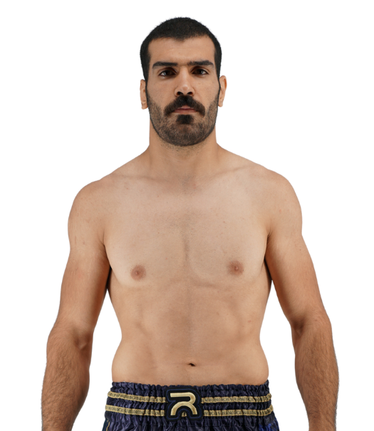 Mohammad Amroabadi