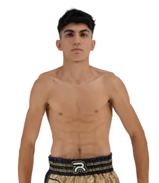 Amirhossein Afrouzeh