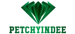 Petchyindee poster